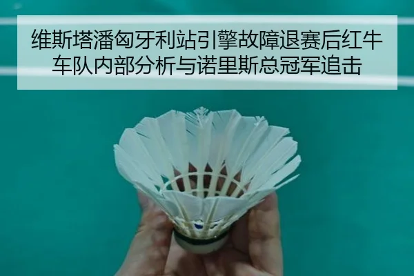 维斯塔潘匈牙利站引擎故障退赛后红牛车队内部分析与诺里斯总冠军追击